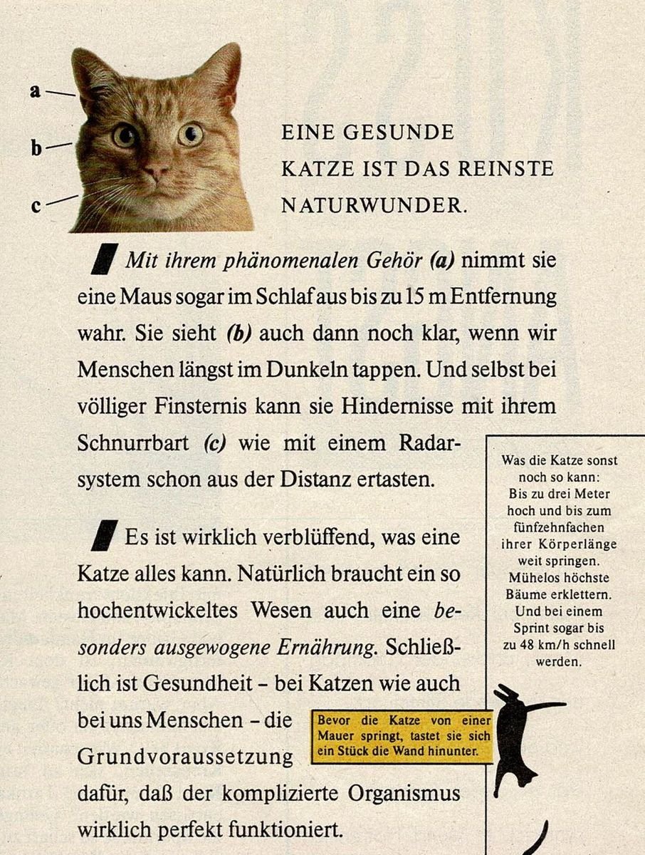 Kitekat Ballett Ausschnitt 1