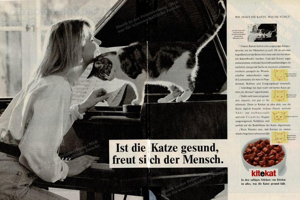 Kitekat Flügel Für Sie 27 5 87