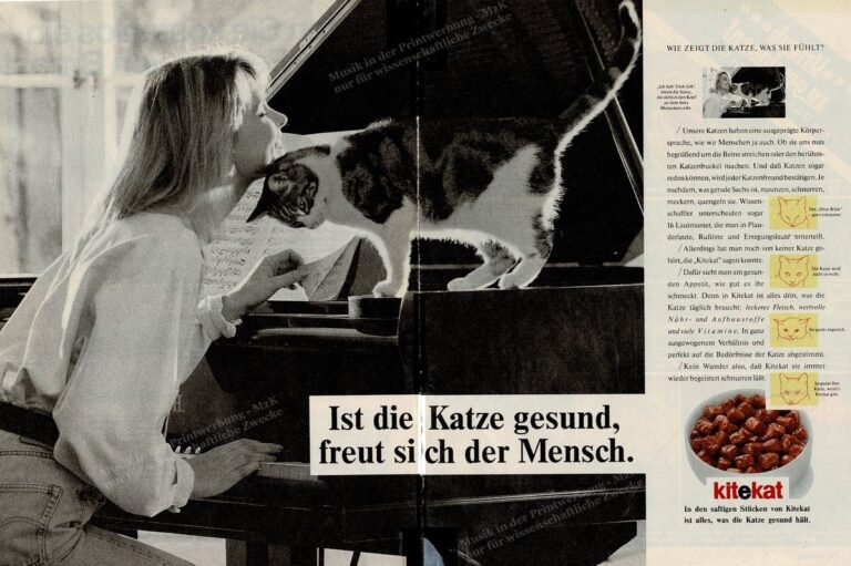 Kitekat Flügel Für Sie 27 5 87