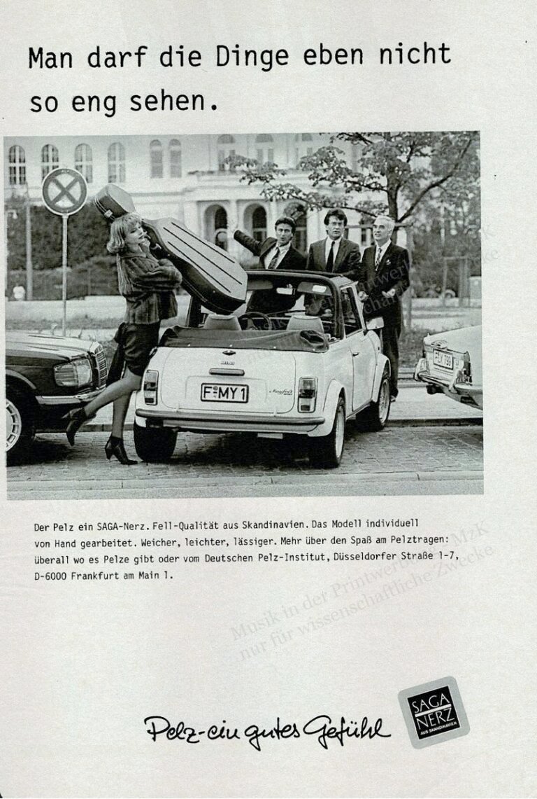 Saga Nerz Cellokasten Brigitte 20 87