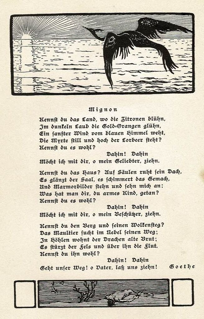 Hausbuch Grafik zu Mignon S 100 g