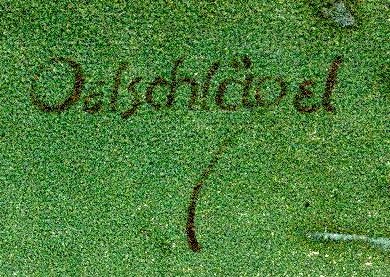 1920 Ach muss Liebe schön sein Oelschlägel