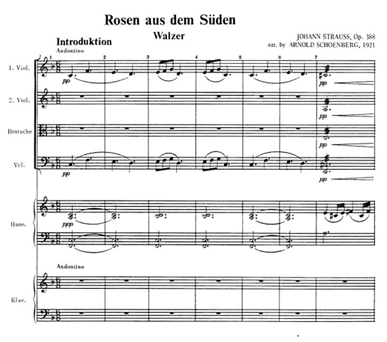 Rosen aus dem Süden Schönberg
