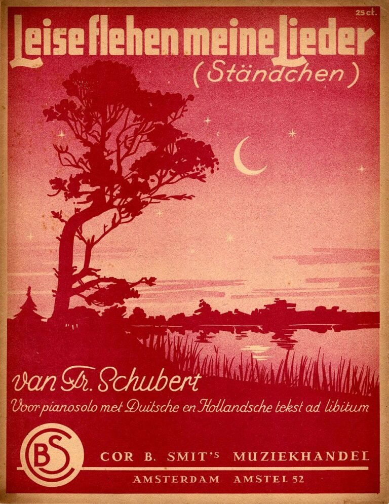 Ständchen Schubert c moll Titel